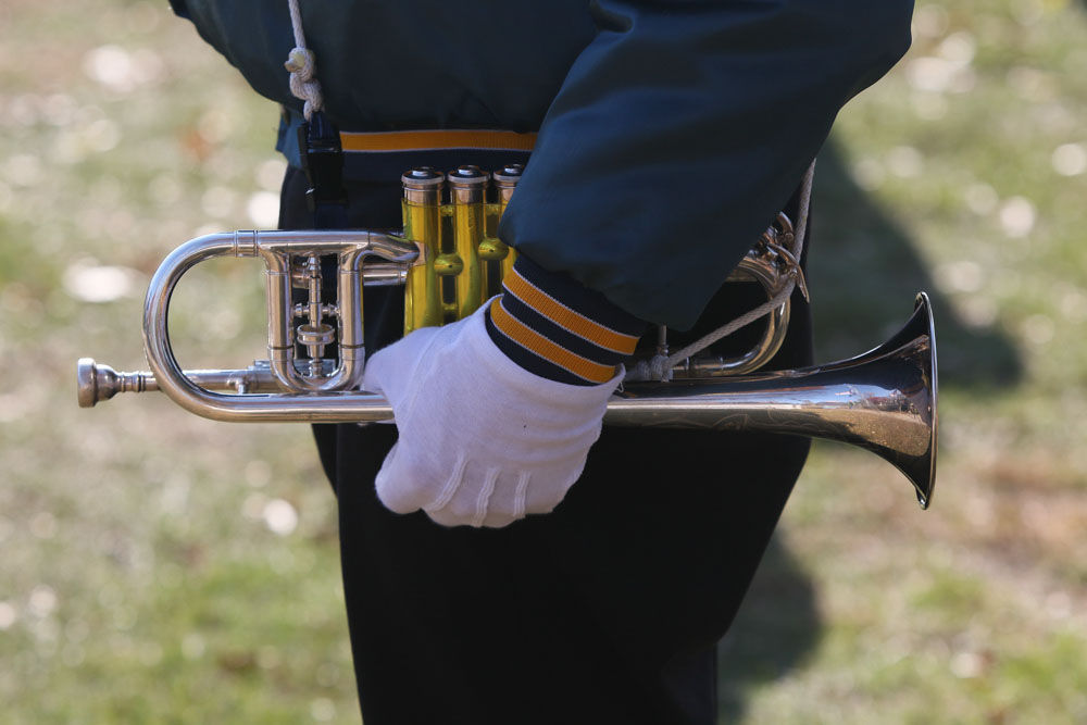 Gallery: Griffith's Veterans Day service